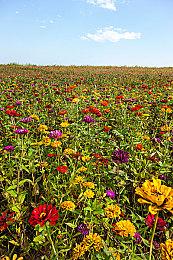 《永恒天空》实机演示预告 抢先体验2022年上线Steam